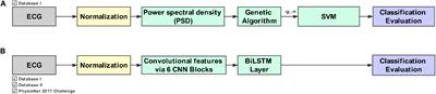 Deep Learning Algorithm Classifies Heartbeat Events Based on Electrocardiogram Signals